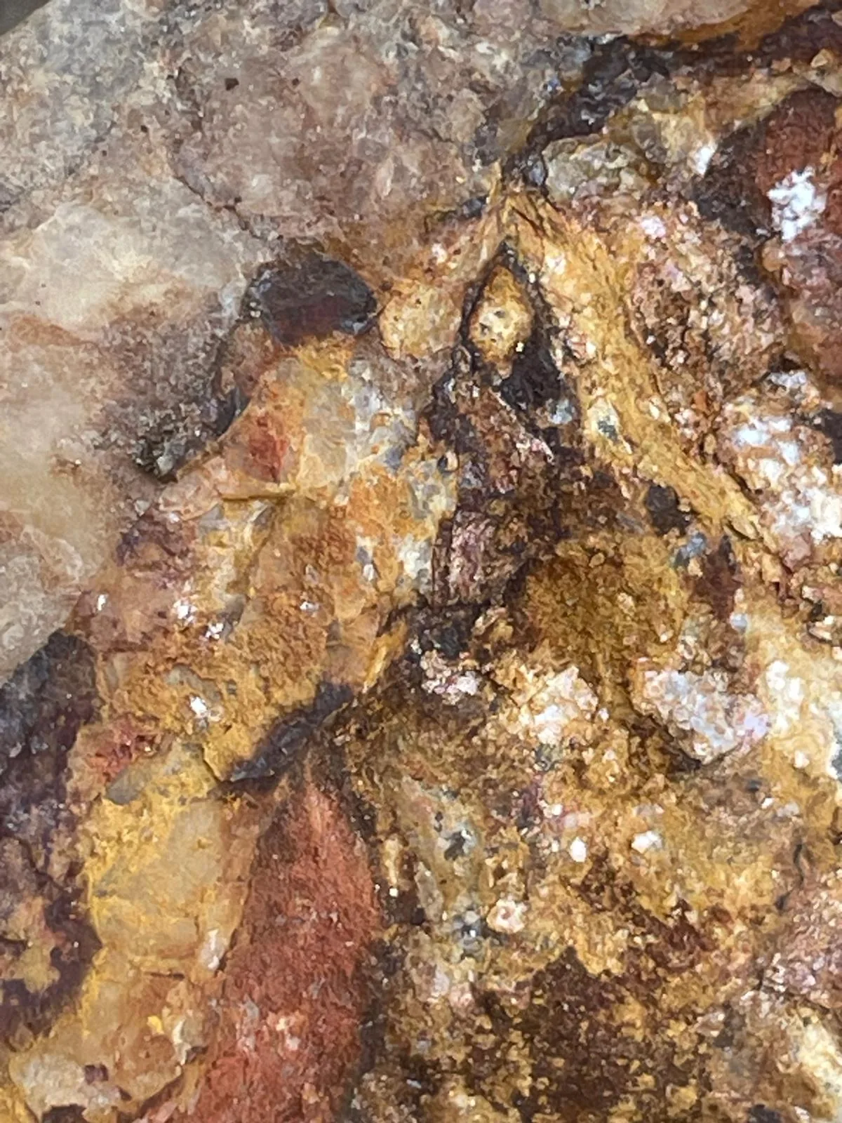 Fildişi Sahilleri altın mineralizasyonu kaya örneği
